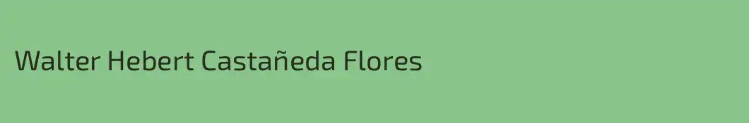Walter Hebert Castañeda Flores
